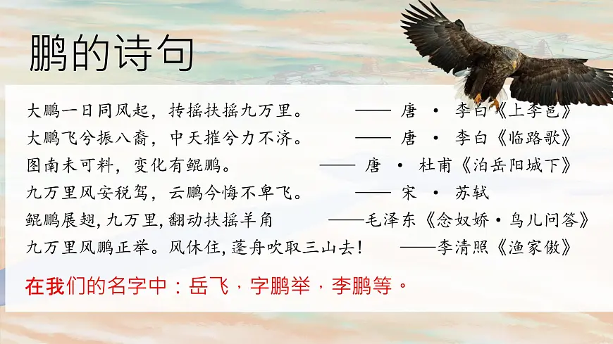 第21课《庄子二则——北冥有鱼》课件++2024—2025学年统编版语文八年级下册第4页