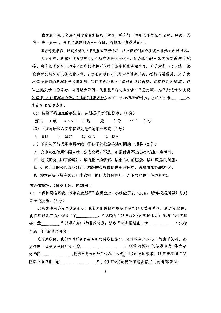 河南省驻马店市西平县第一初级中学2024-2025学年八年级下学期开学语文试题第3页