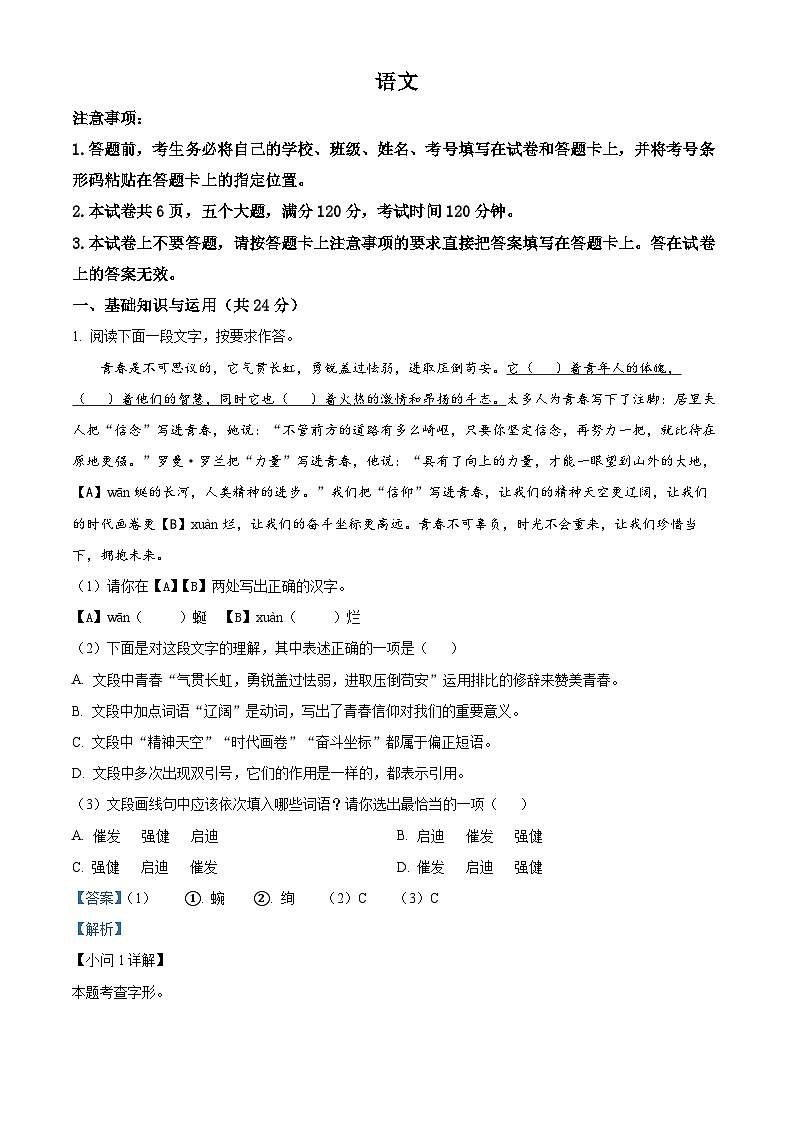 2025年河南省郑州市外国语中学中考一模语文试题（解析版）第1页