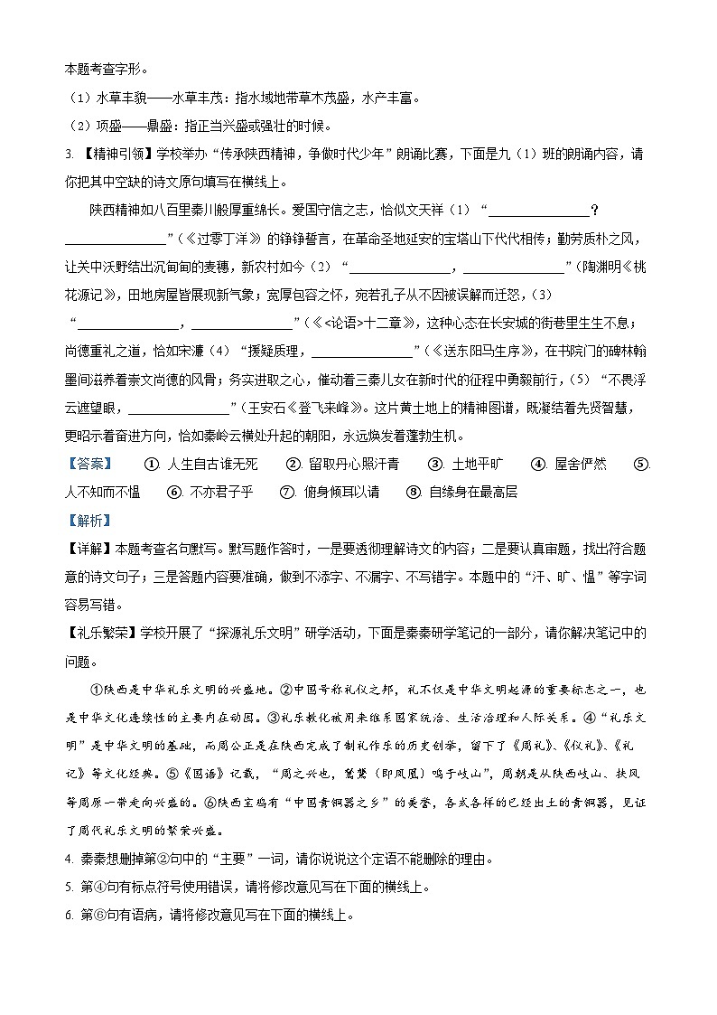 2025年陕西省西安市西咸新区中考一模语文试题（解析版）第2页