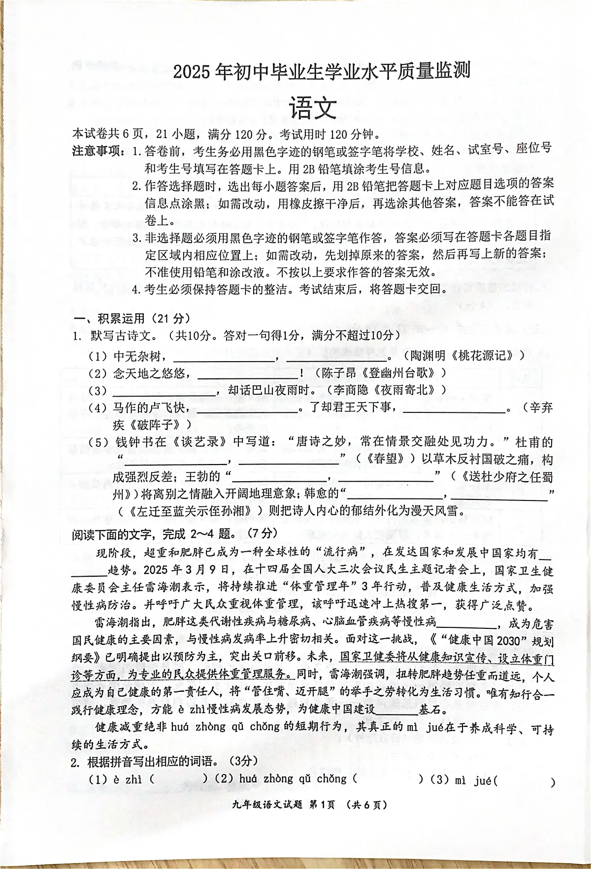 广东省鹤山市2024-2025学年度第二学期九年级语文学业水平质量检测试卷（含答案） 广东省鹤山市2024-2025学年度第二学期九年级语文学业水平质量检测试卷第1页