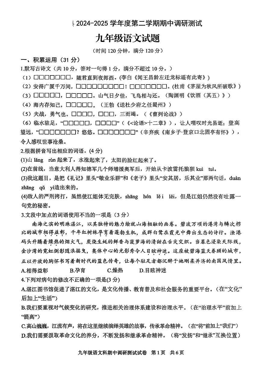 广东省湛江市徐闻县2024-2025学年九年级下学期期中考试语文试题第1页
