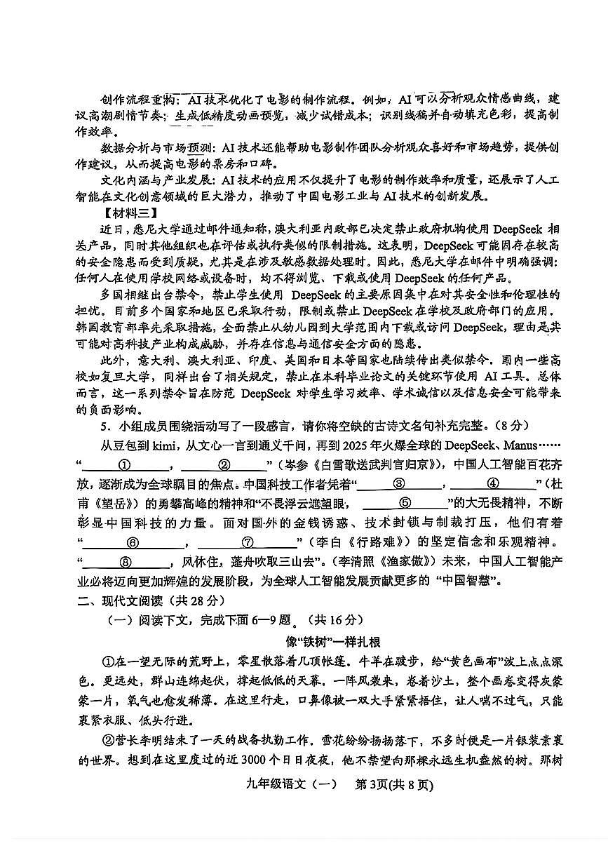 河南南阳市2025年初中毕业班九年级语文一模试卷(pdf版含答案)第3页