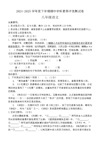 河南省驻马店市实验中学2024-2025学年八年级下学期期中素养评估测评语文试卷（含答案）