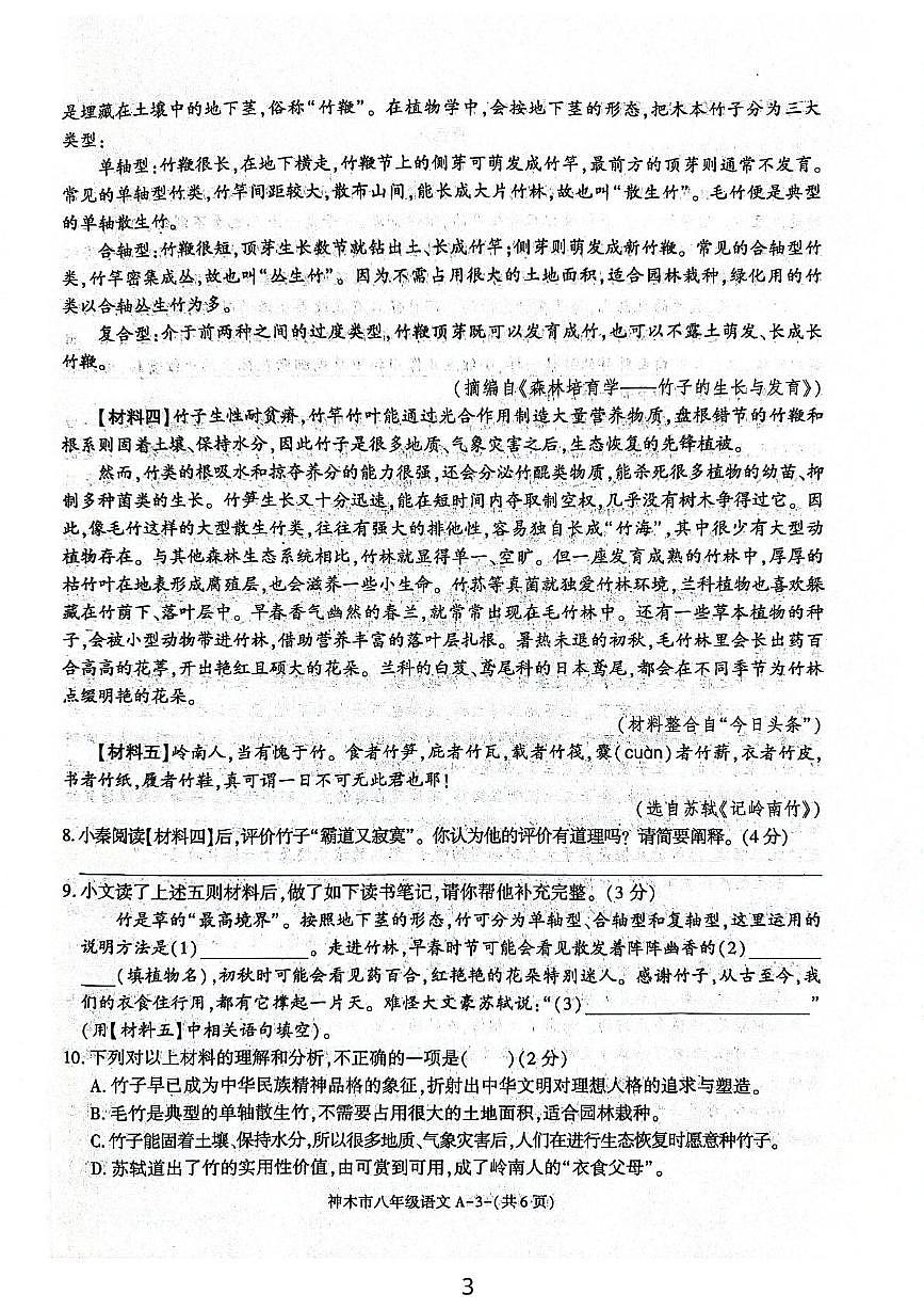 陕西省榆林市神木市2024-2025学年八年级下学期4月期中语文试题（图片版，含答案）第3页