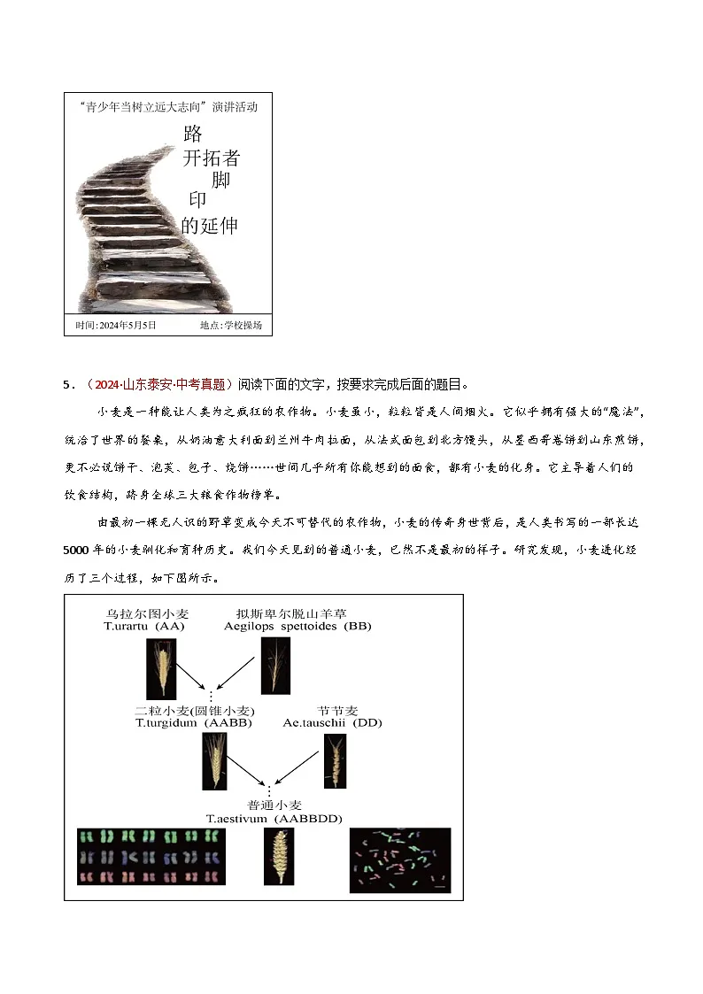 2025年中考语文三轮冲刺：语言运用之图文转换 刷题练习题（含答案）第3页