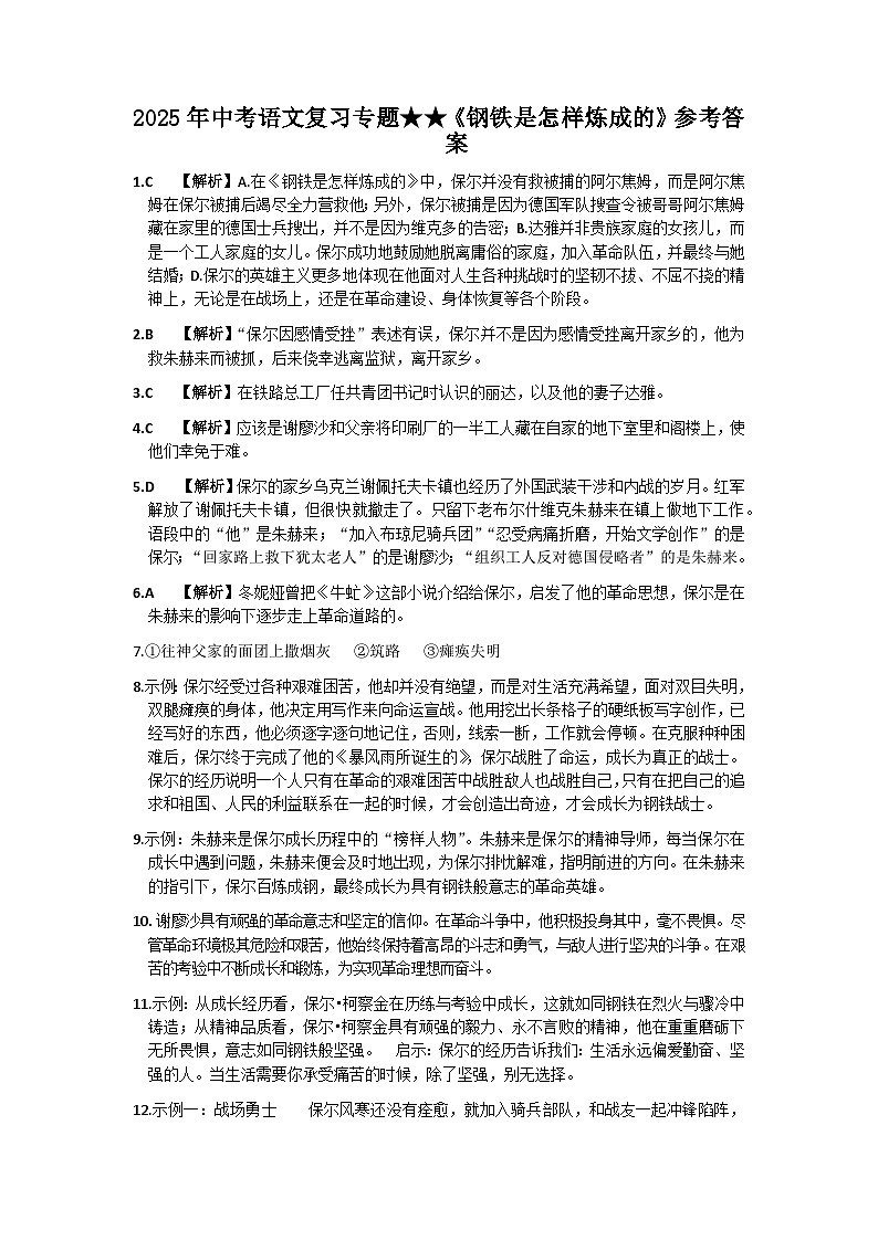 2025年中考语文复习专题★★中考语文《钢铁是怎样炼成的》答案第1页
