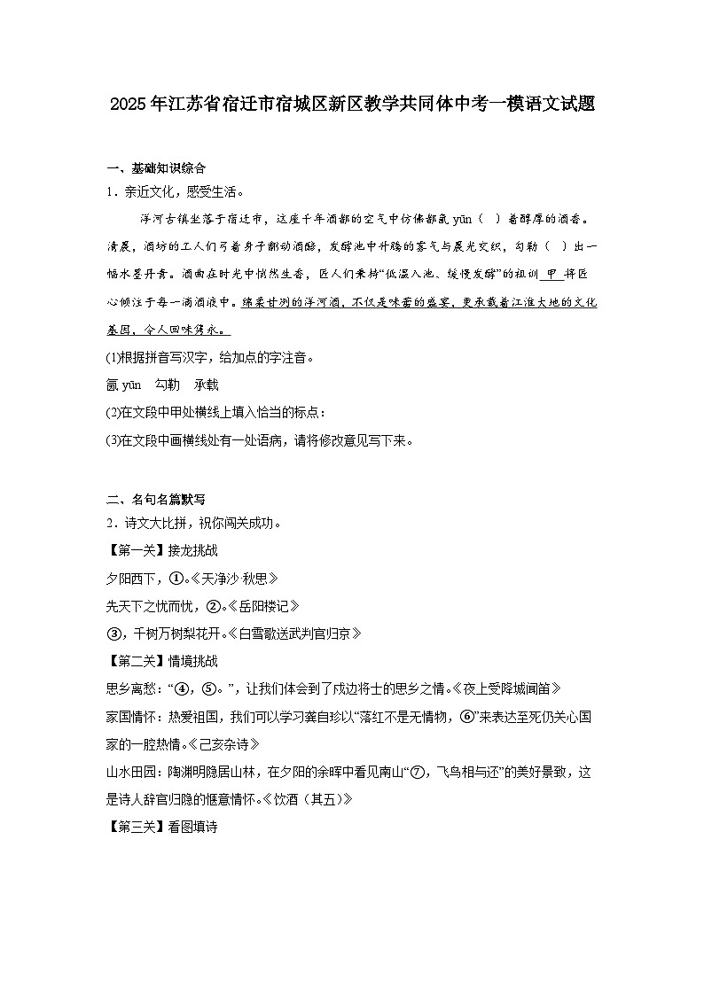 2025年江苏省宿迁市宿城区新区教学共同体中考一模语文试题（含答案）第1页