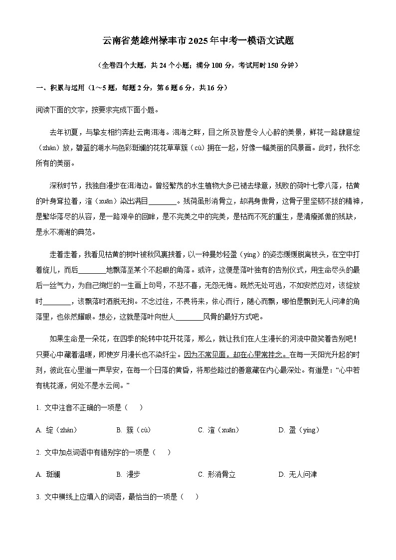 云南省楚雄州禄丰市2025年九年级中考一模语文试题（含答案）第1页