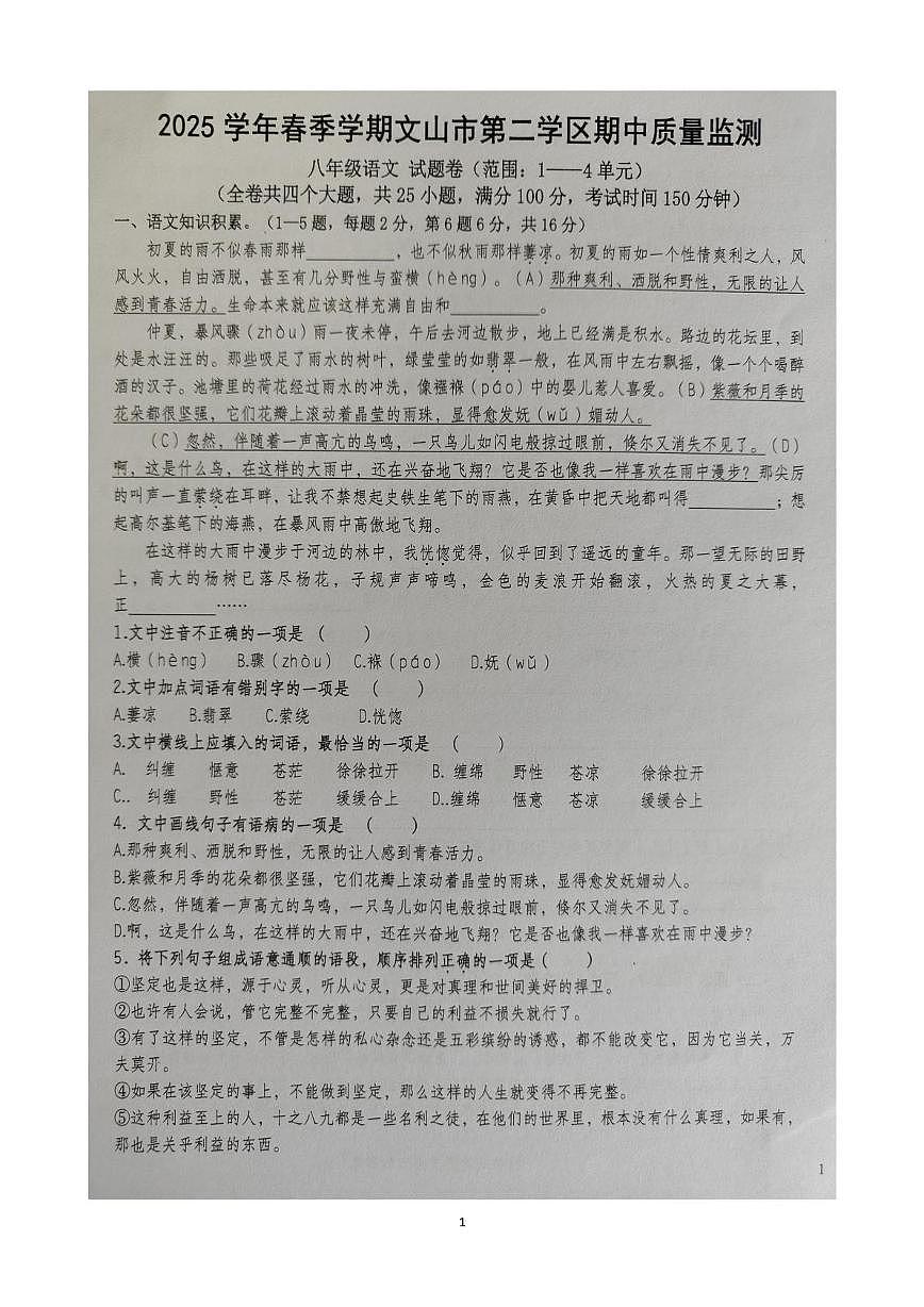 云南省文山壮族苗族自治州文山市第二学区2024-2025学年八年级下学期4月期中语文试题第1页