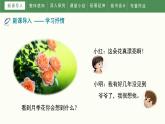 第二單元《寫作 學(xué)習(xí)抒情》課件 部編版語文七年級下冊