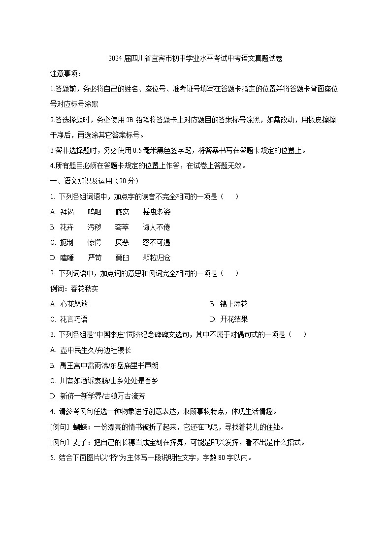 2024届四川省宜宾市初中学业水平考试中考语文真题试卷（原卷及解析）第1页