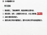 第六单元21课《小圣施威降大圣》课件 部编版语文七年级上册