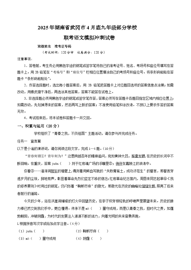 2025年湖南省武冈市4月底九年级部分学校联考语文模拟冲刺试题（含答案）第1页