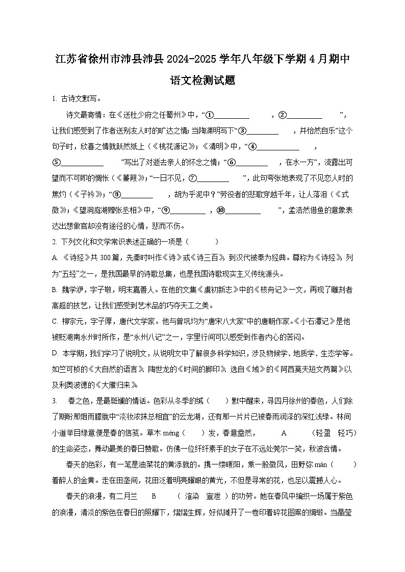 江苏省徐州市沛县沛县2024-2025学年八年级下学期4月期中语文检测试题（附答案）第1页
