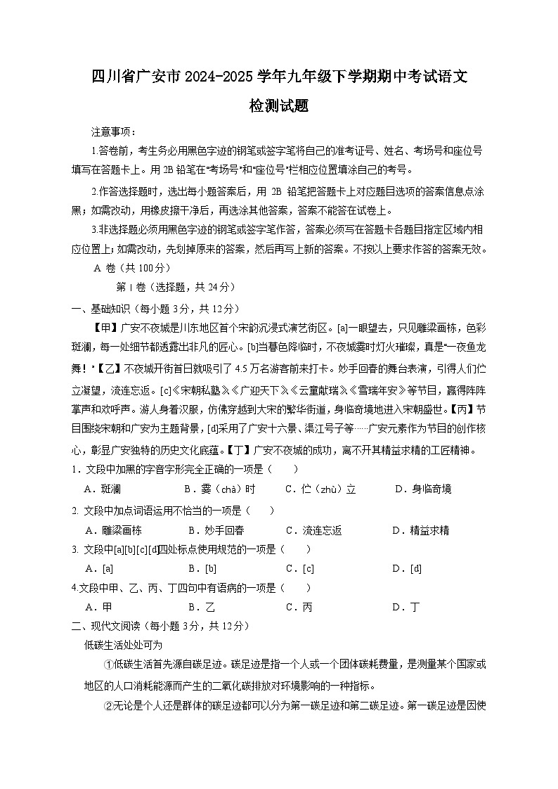 四川省广安市2024-2025学年九年级下学期期中考试语文检测试题（附答案）第1页