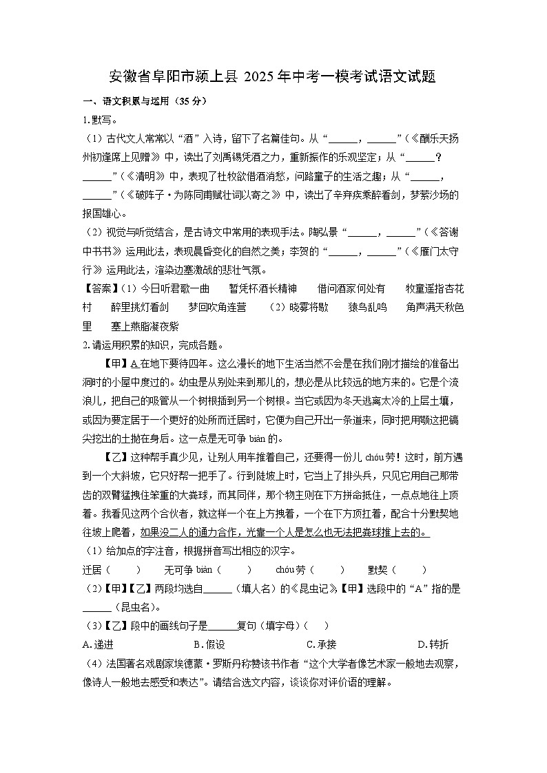 安徽省阜阳市颍上县2025年中考一模考试语文试题（解析版）第1页