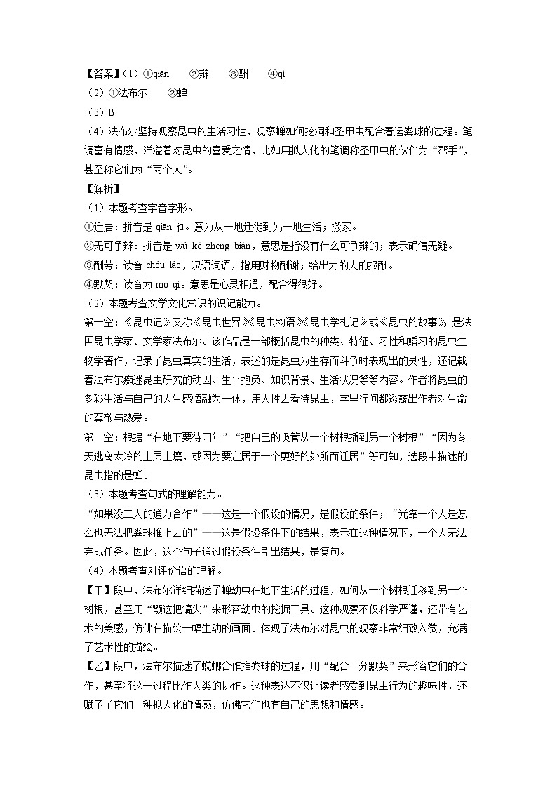 安徽省阜阳市颍上县2025年中考一模考试语文试题（解析版）第2页