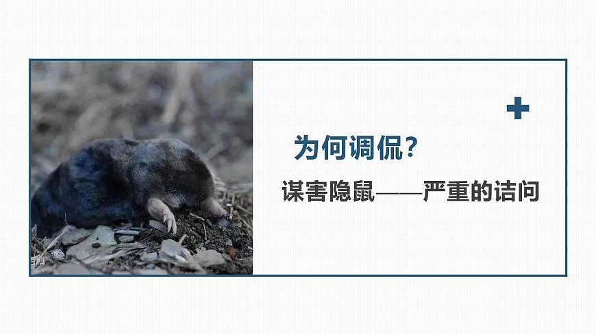 统编版（2024）七年级语文下册10阿长与《山海经》ppt课件第8页