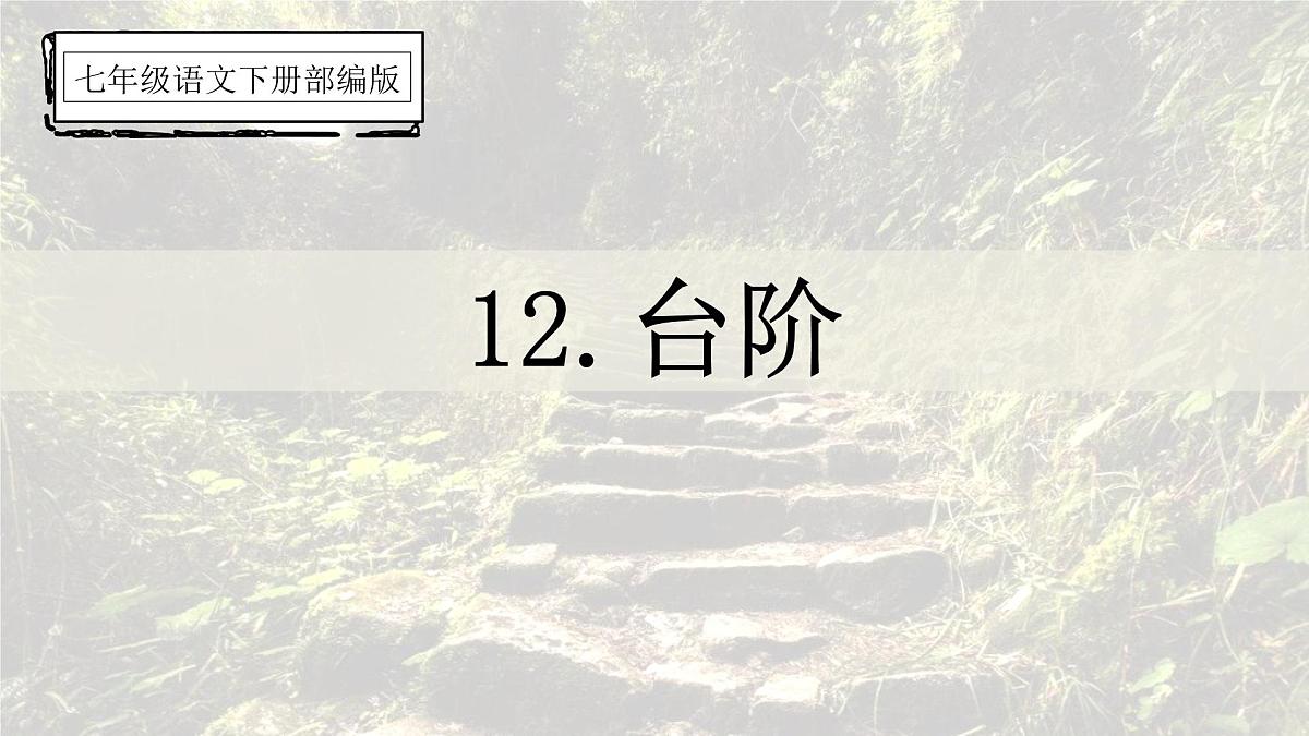 统编版（2024）七年级语文下册12台阶课件第1页