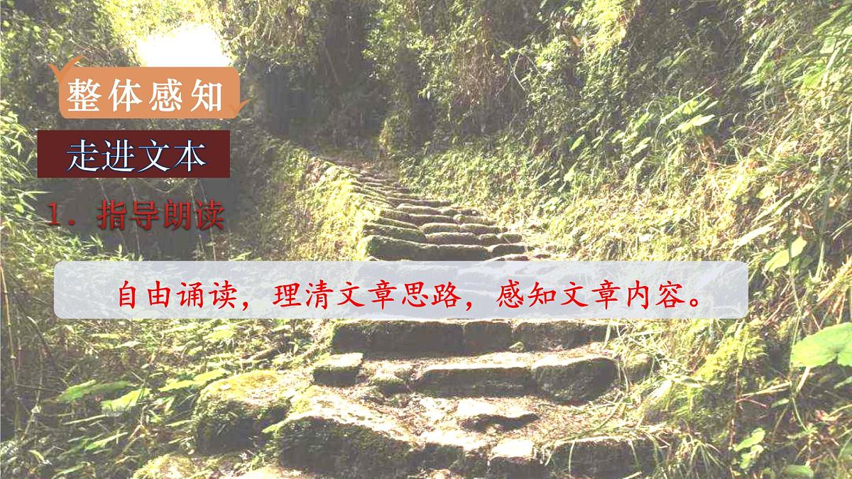 统编版（2024）七年级语文下册12台阶课件第7页