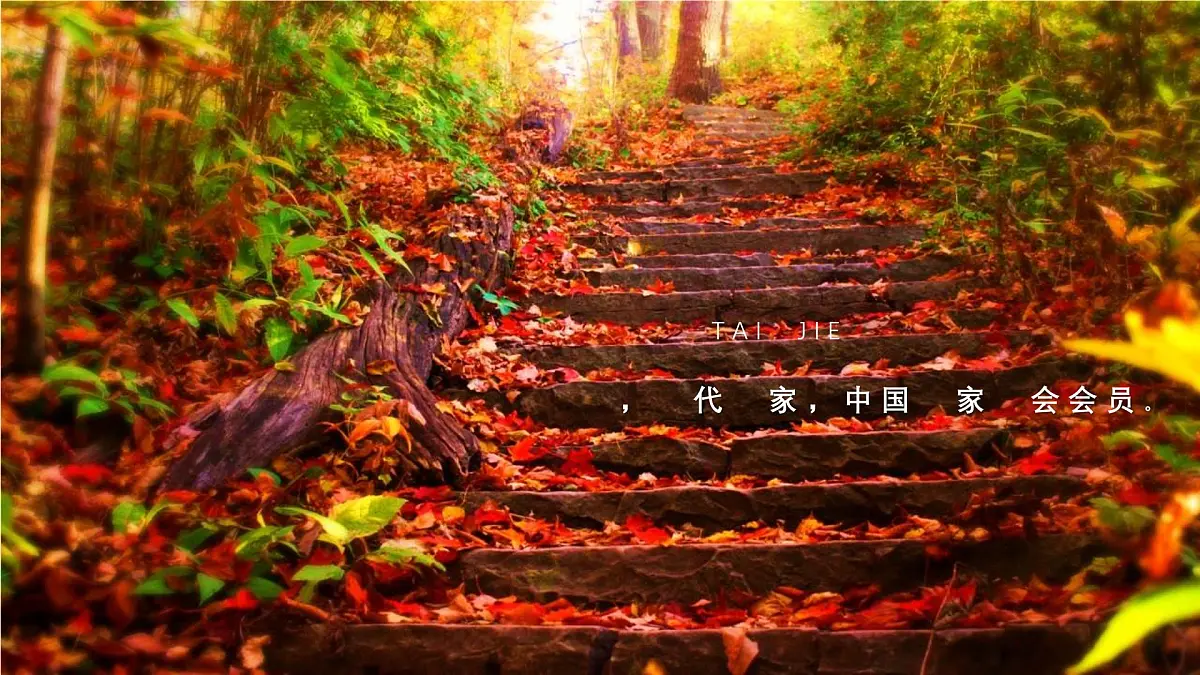 统编版（2024）七年级语文下学期12台阶ppt课件第1页