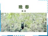 統(tǒng)編版（2024）七年級語文下冊第三單元古詩詞誦讀-晚春課件
