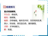 統(tǒng)編版（2024）七年級語文下冊第三單元古詩詞誦讀-晚春課件