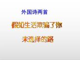 第五單元20課《外國詩兩首》課件 部編版語文七年級下冊