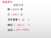 第五單元20課《外國詩兩首》課件 部編版語文七年級下冊