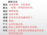第五單元20課《外國詩兩首》課件 部編版語文七年級下冊