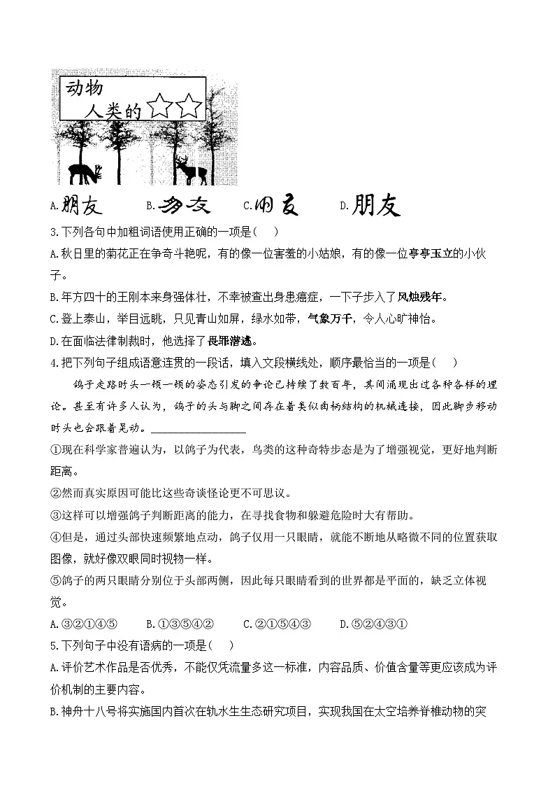 （18）我的白鸽学案七年级语文统编版（2024）上册第2页