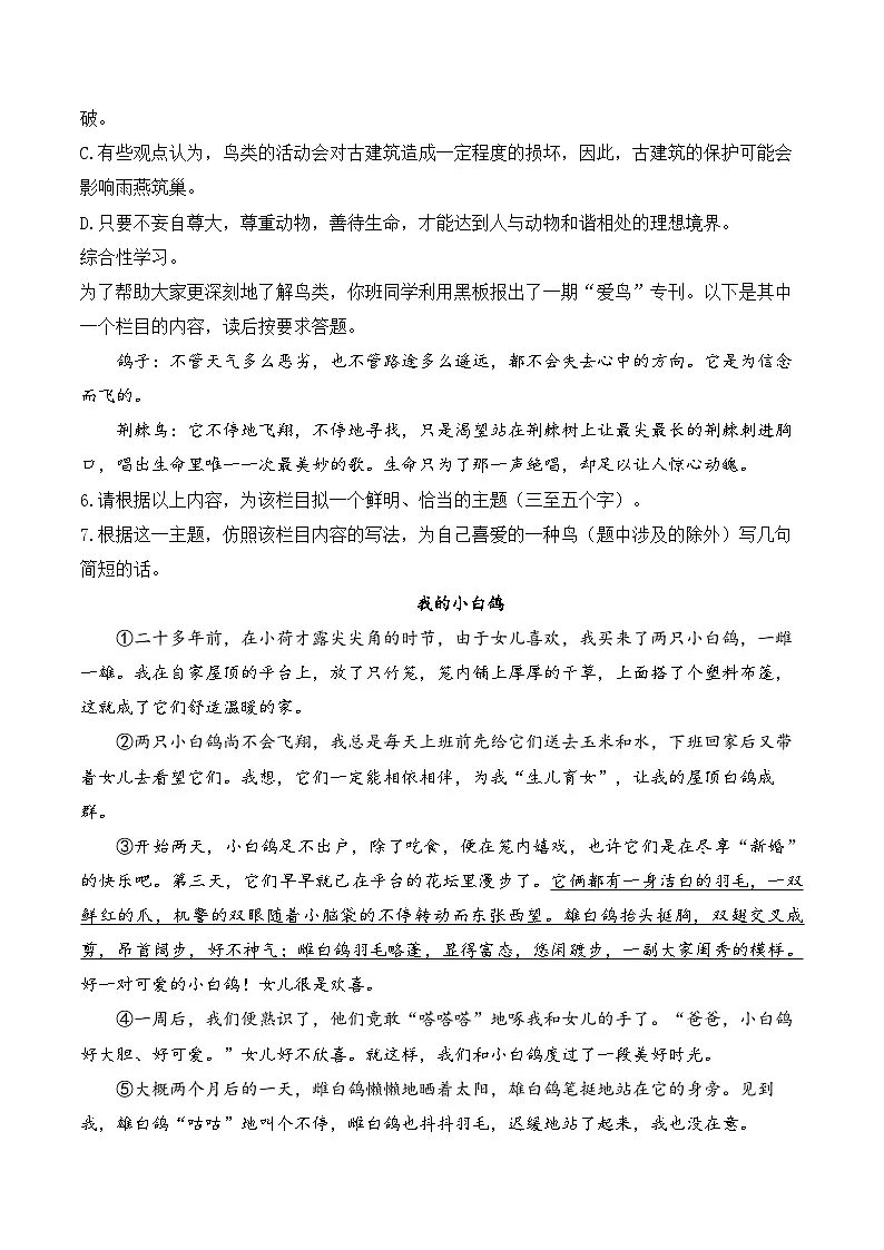 （18）我的白鸽学案七年级语文统编版（2024）上册第3页