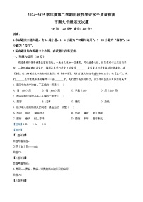 2025年山东省青岛市市南区中考一模语文试题（解析版）