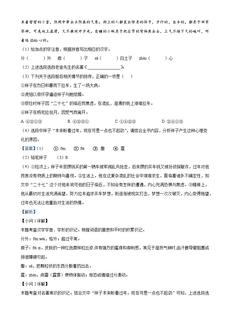 2025年安徽省省级校联考中考二模语文试题（解析版）第2页