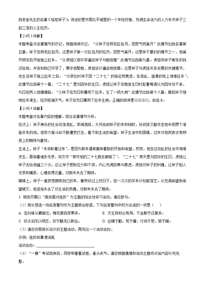 2025年安徽省省级校联考中考二模语文试题（解析版）第3页