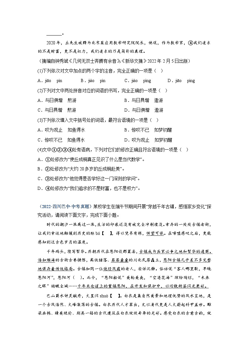 中考语文必刷真题精选 专题08：综合考查（一）（学生版）第3页