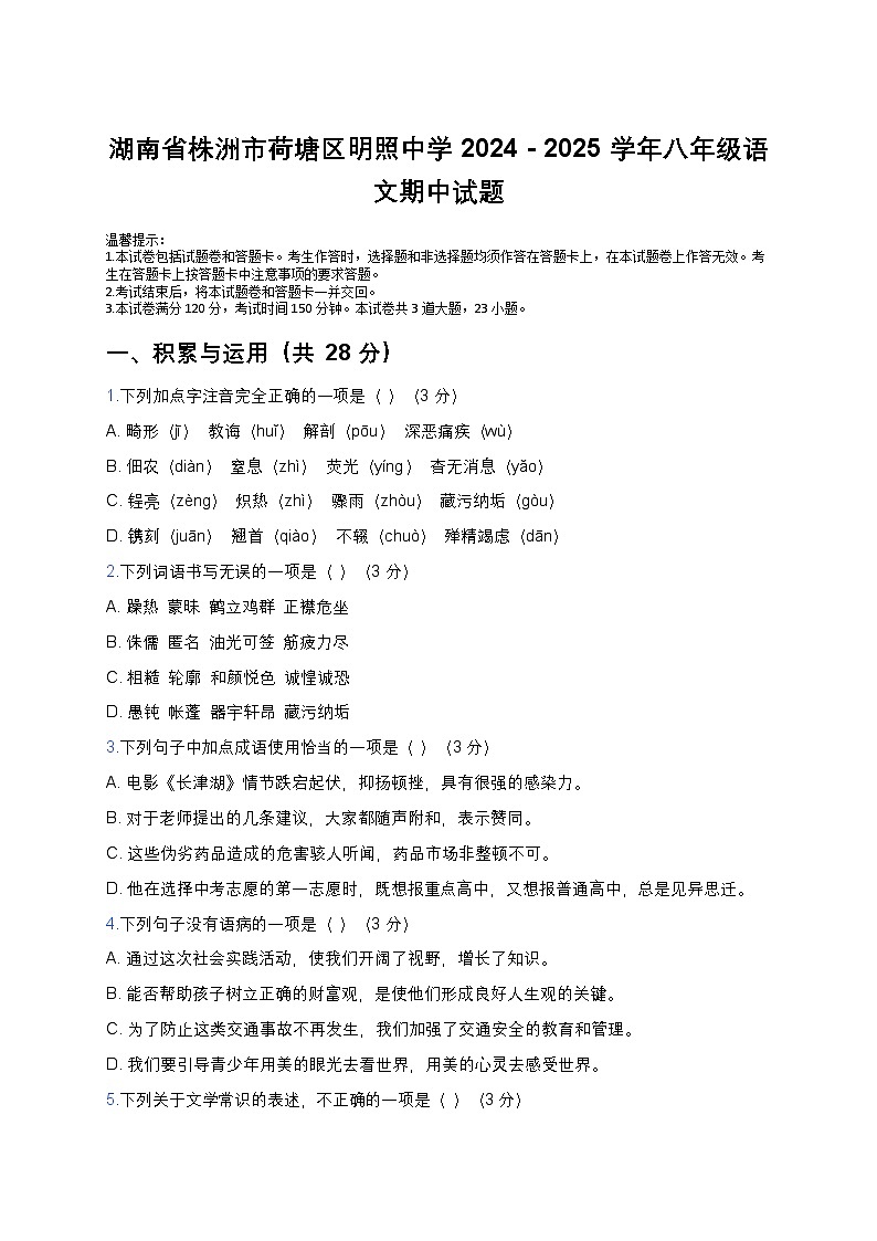 湖南省株洲市荷塘区株洲市明照中学2024-2025学年八年级下学期5月期中语文试题第1页