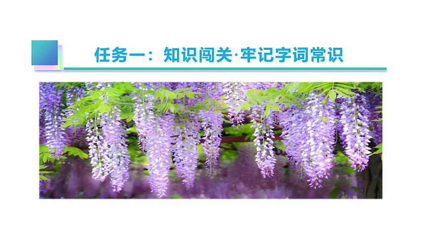 七年级下册 第19课《紫藤萝瀑布》教学课件2024-2025学年七下语文同步课堂 2024统编版第6页