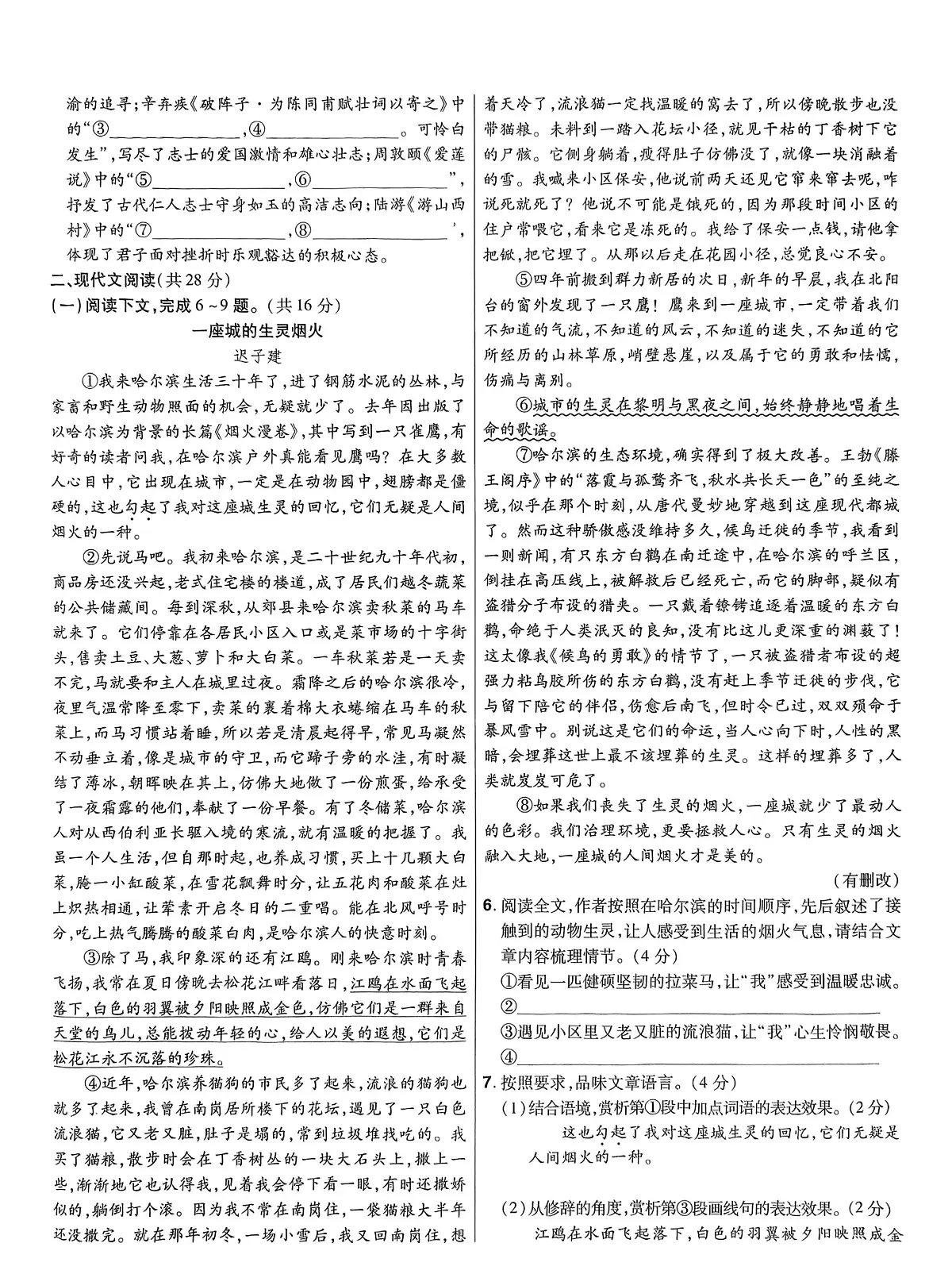 2024年河南省平顶山市鲁山县西北七校中考三模语文试卷(pdf版含解析)第2页