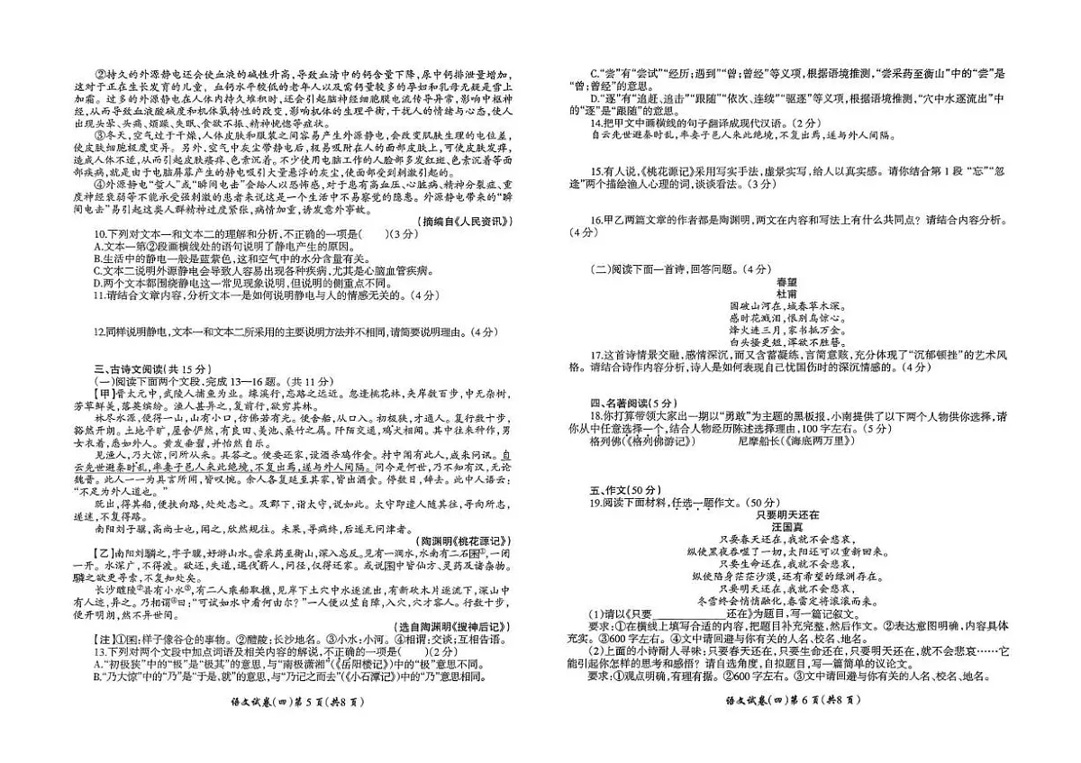 2025年河南省鲁山县西北七校中考一模语文试卷（中考模拟）第3页