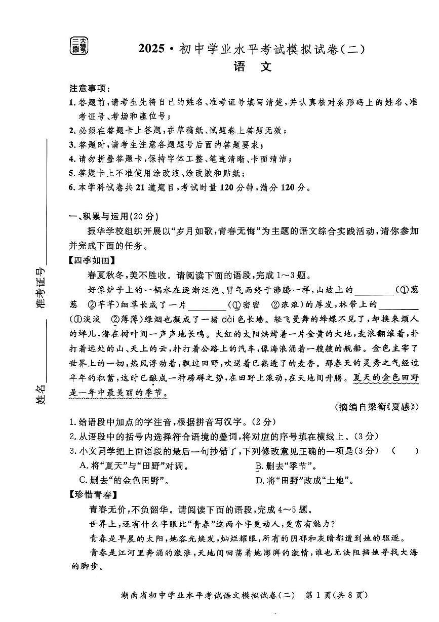 2025年湖南省永州市宁远县中考二模语文试卷（中考模拟）第1页
