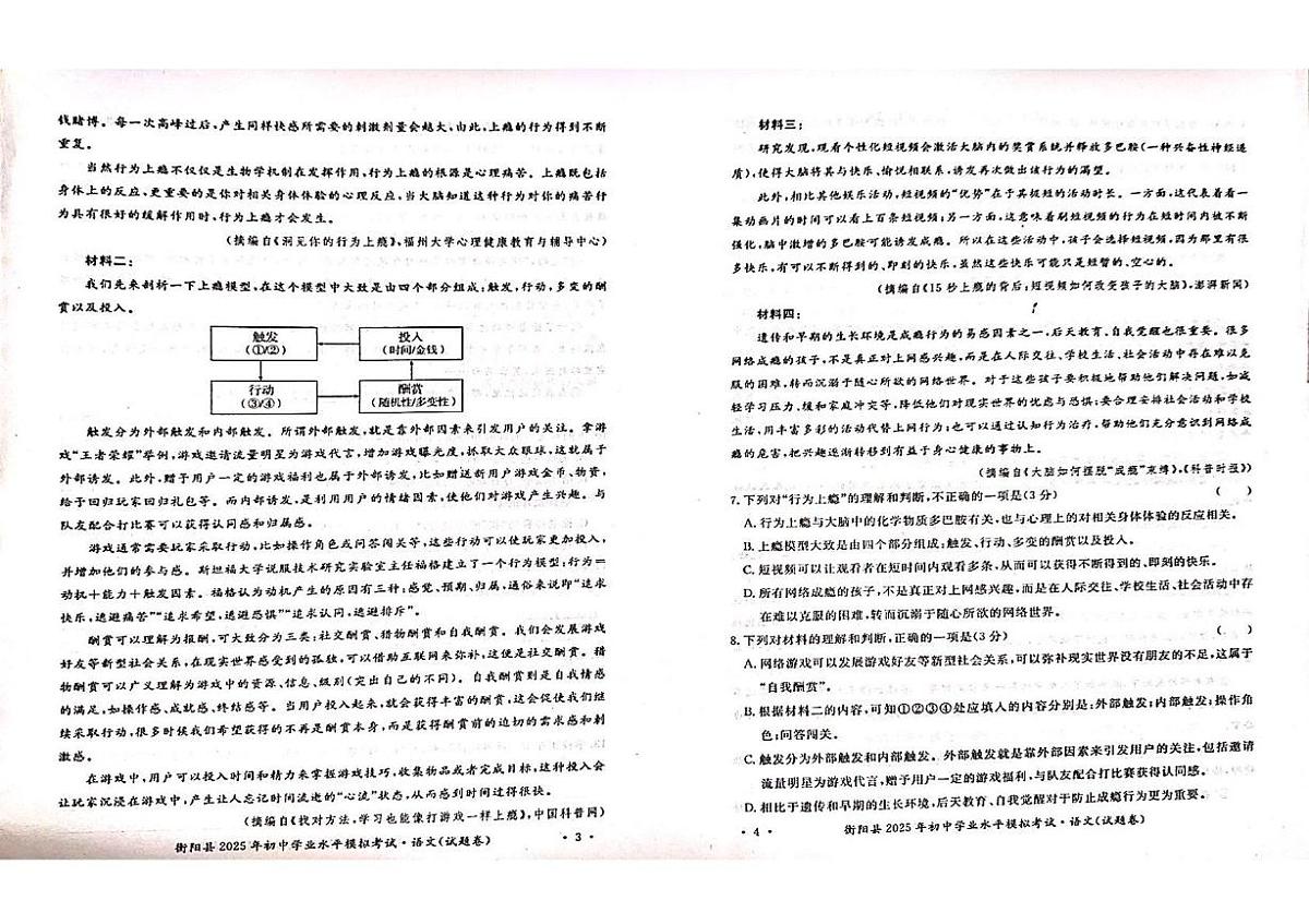 湖南省衡阳县2025初中学业水平考试模拟考试语文试题第2页