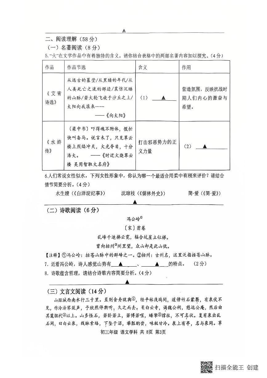 2025年江苏省扬州市梅岭集团中考一模语文试卷（中考模拟）第3页