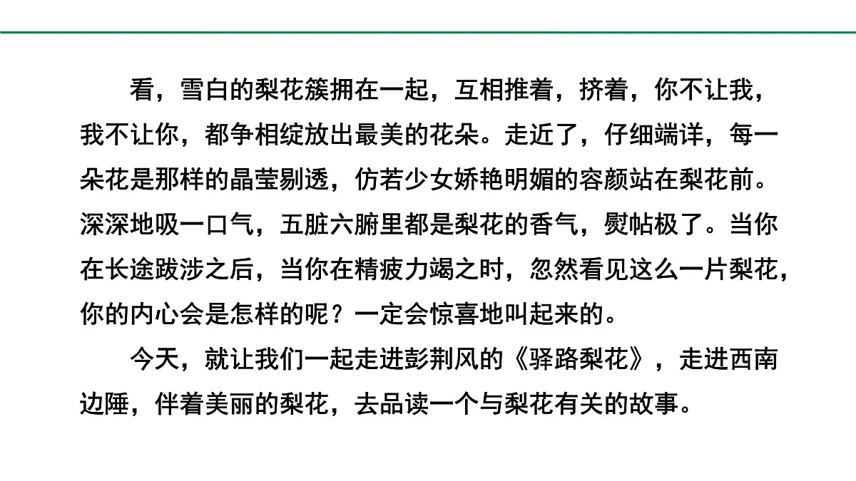 2024-2025年第二学期 部编版 语文 七年级下册 第四单元 14 驿路梨花 课件第3页