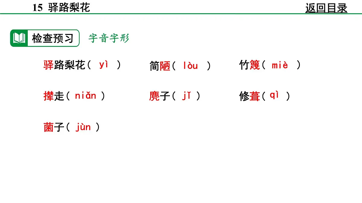 2024-2025年第二学期 部编版 语文 七年级下册 第四单元 14 驿路梨花 课件第5页