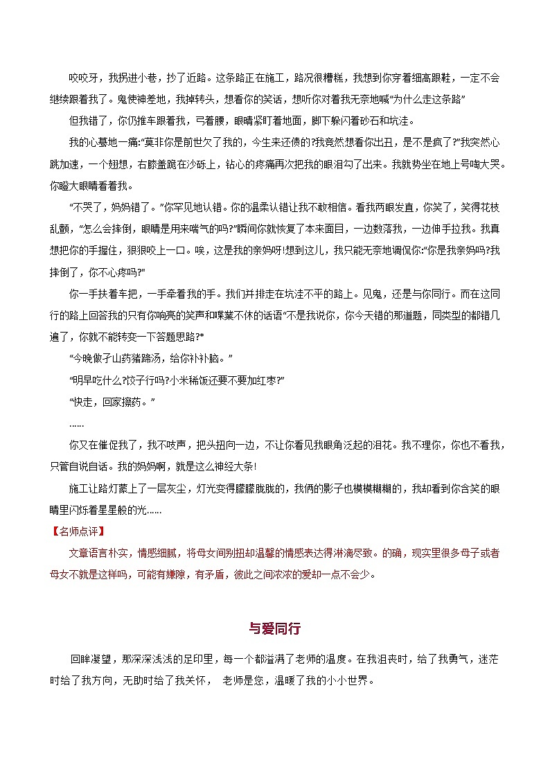 2025初中语文中考作文热押 第04讲 与_____ 同行 素材第3页