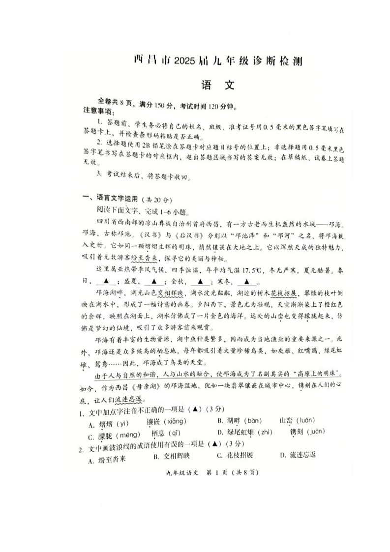 2025年四川省凉山彝族自治州西昌市中考一模语文试题（中考模拟）第1页