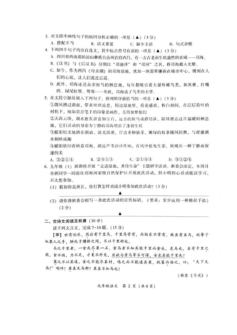 2025年四川省凉山彝族自治州西昌市中考一模语文试题（中考模拟）第2页