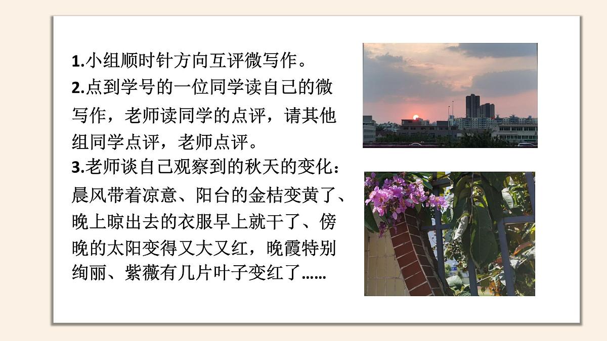 《热爱写作，学会观察》课件 部编版语文七年级上册第5页